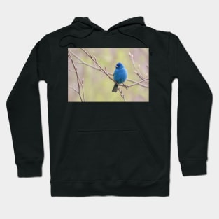 Indigo, Bunting No.2 Hoodie